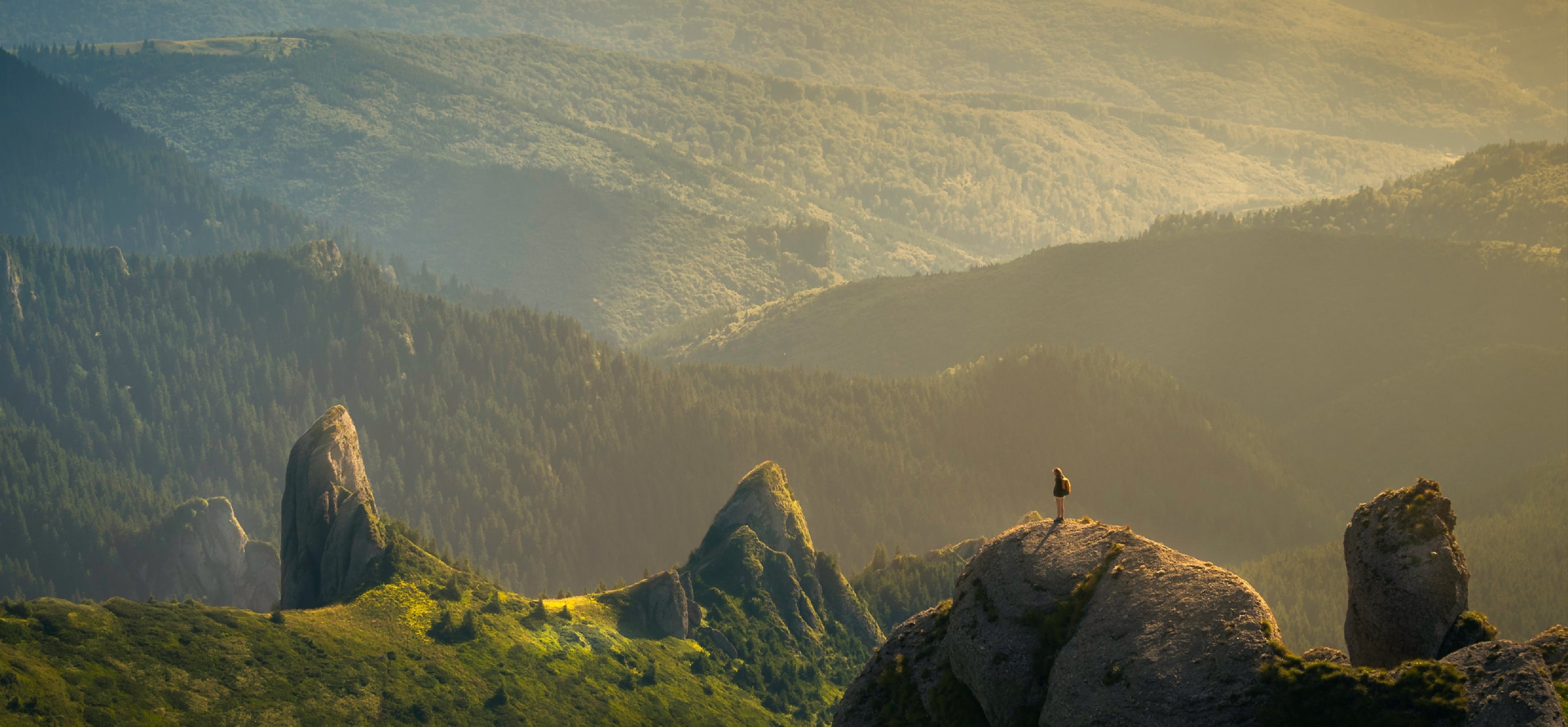 B Corp Certification